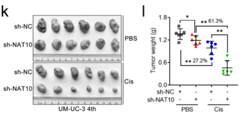 1684141074781084.png image.png