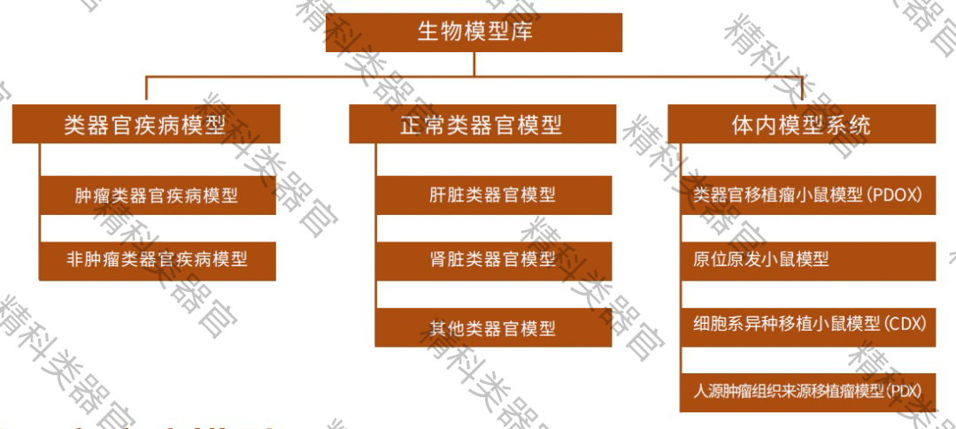 1737712365945844.png image.png