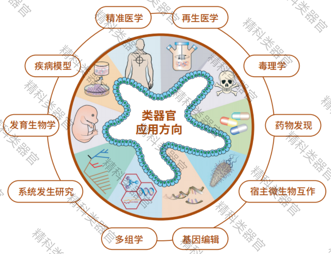 1737712393666447.png f436f66b913c535deed5e767b85a0ca8_640_wx_fmt=png&tp=webp&wxfrom=10005&wx_lazy=1&wx_co=1.png